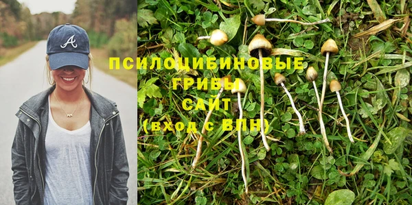 прущие крисы Бугульма