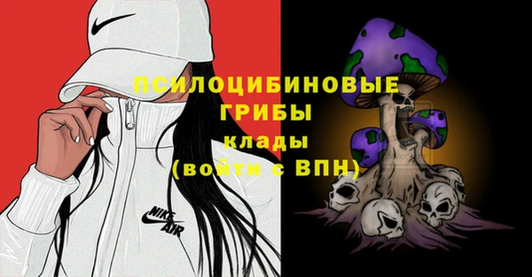 мяу мяу мука Богданович