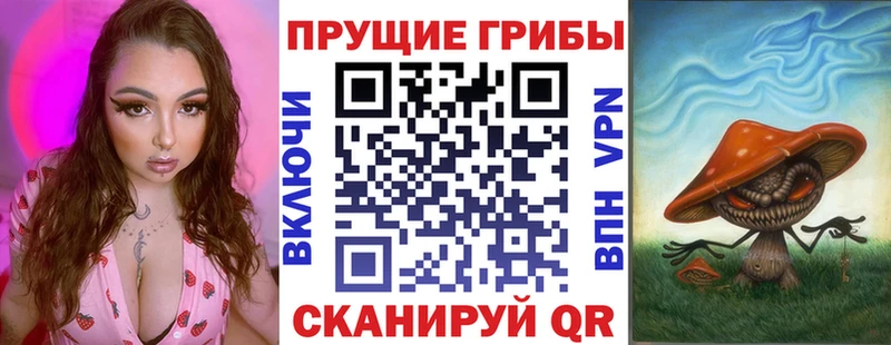 купить закладку  Южно-Сухокумск  Псилоцибиновые грибы Cubensis 